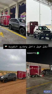 نقل خيل 🚚🚚