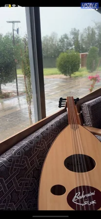 عود بحريني