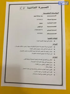 مندوب عام