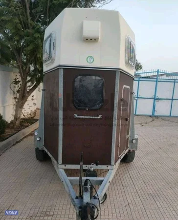 نقل خيل  علي مدار ساعه