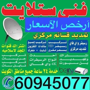 فني ستلايت