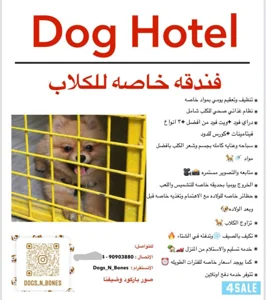 فندقه للكلاب 🐶