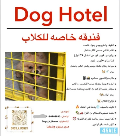 فندقه للكلاب 🐶