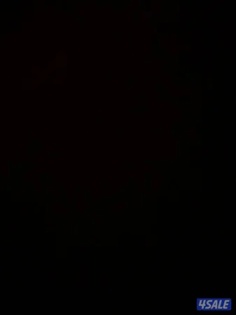 سكرتيرة و مساعدة