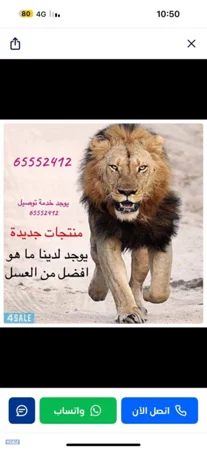 العسل ومنتجات جديدة