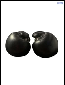 Essimo 6oz boxing gloves for middle aged kids
