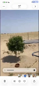 مخيم كامل.  خلف المطلاع